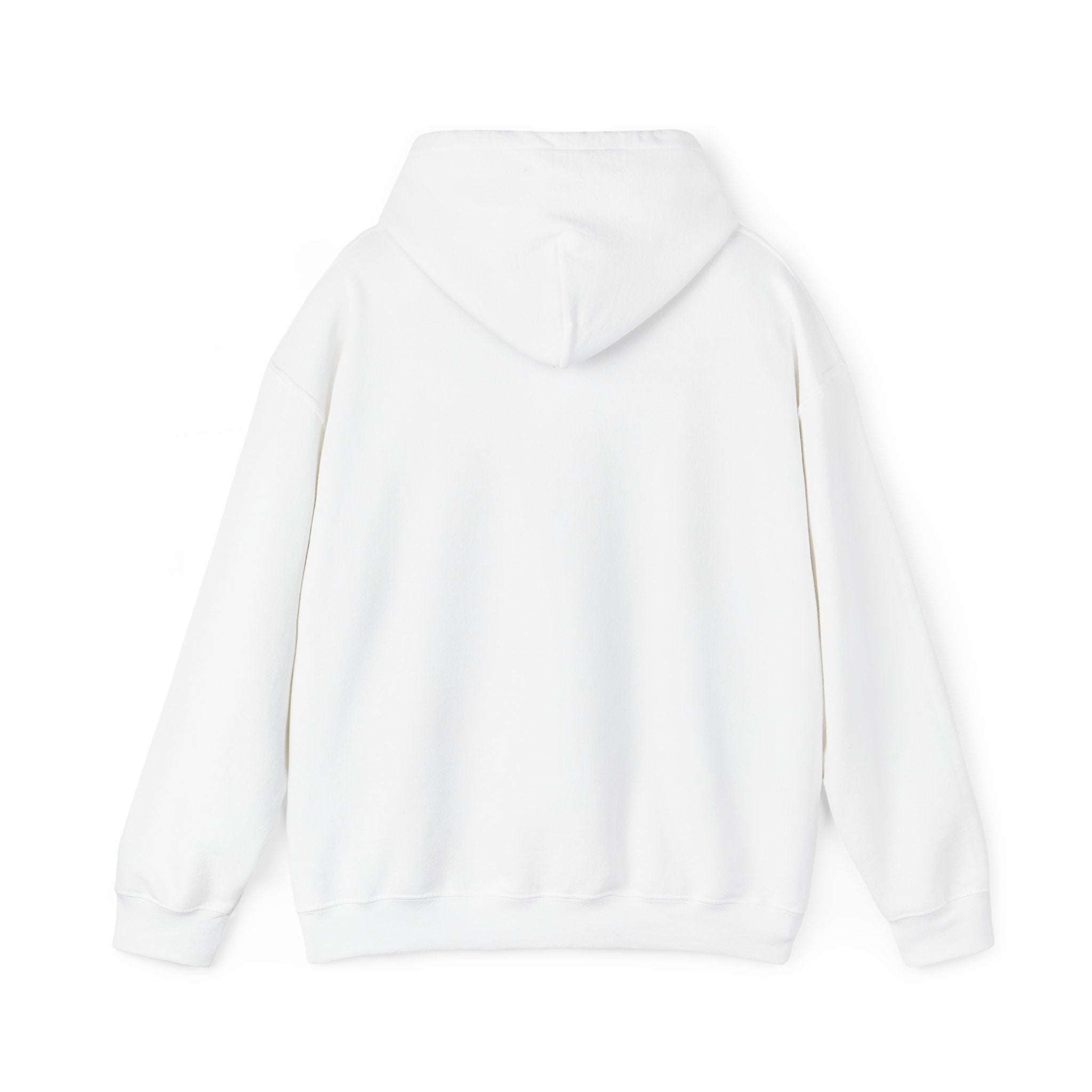 Solid Unisex Hoodie [BUY 2 HOODIES @1529]