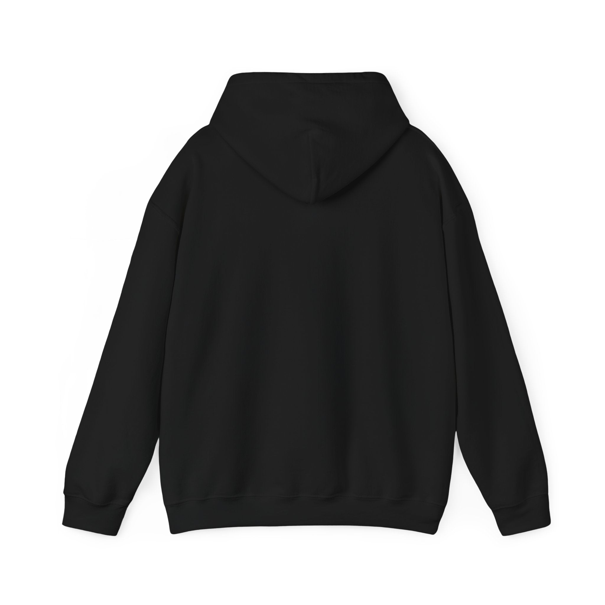 Solid Unisex Hoodie [BUY 2 HOODIES @1529]