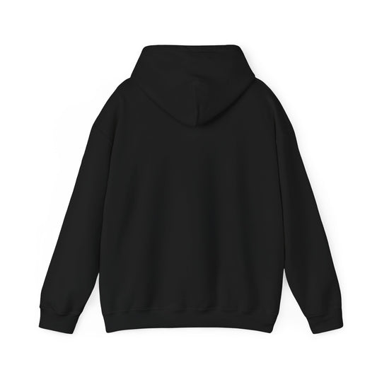 Solid Unisex Hoodie [BUY 2 HOODIES @1529]