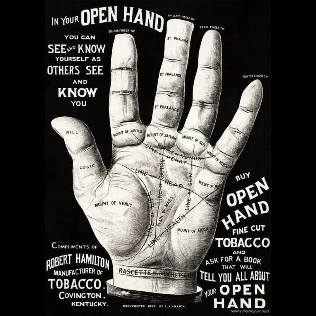 Open Hand Hoodie